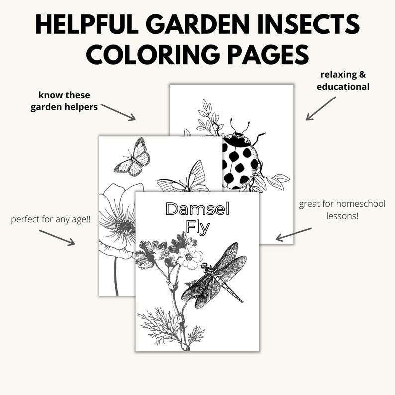 Helpful Garden Insects Coloring Pages for Homeschool - Etsy