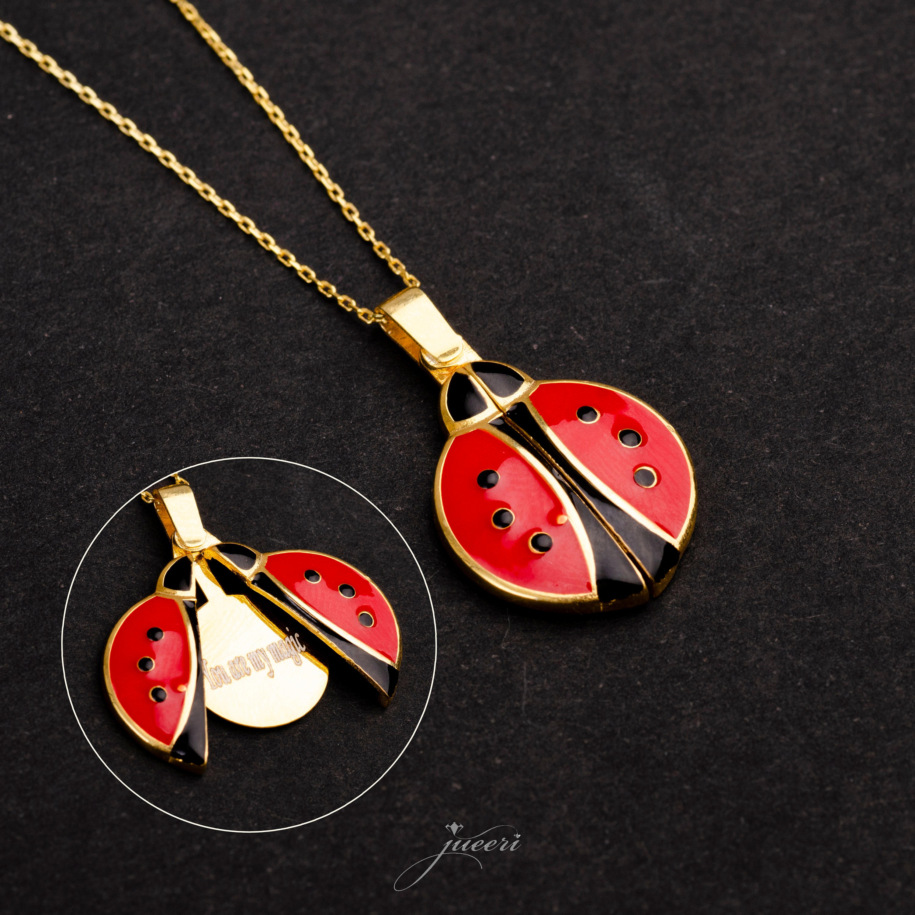 Brosse et collier Miraculous Ladybug à prix bas