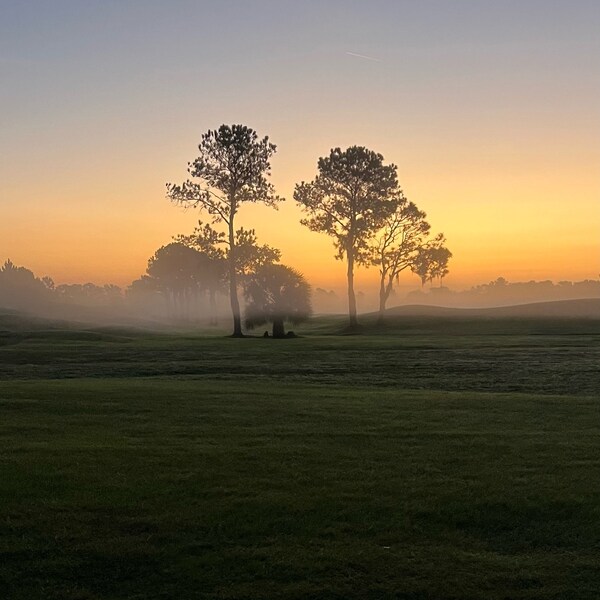 Digital Print Photography Photo Sunrise Trees Fog Early Morning