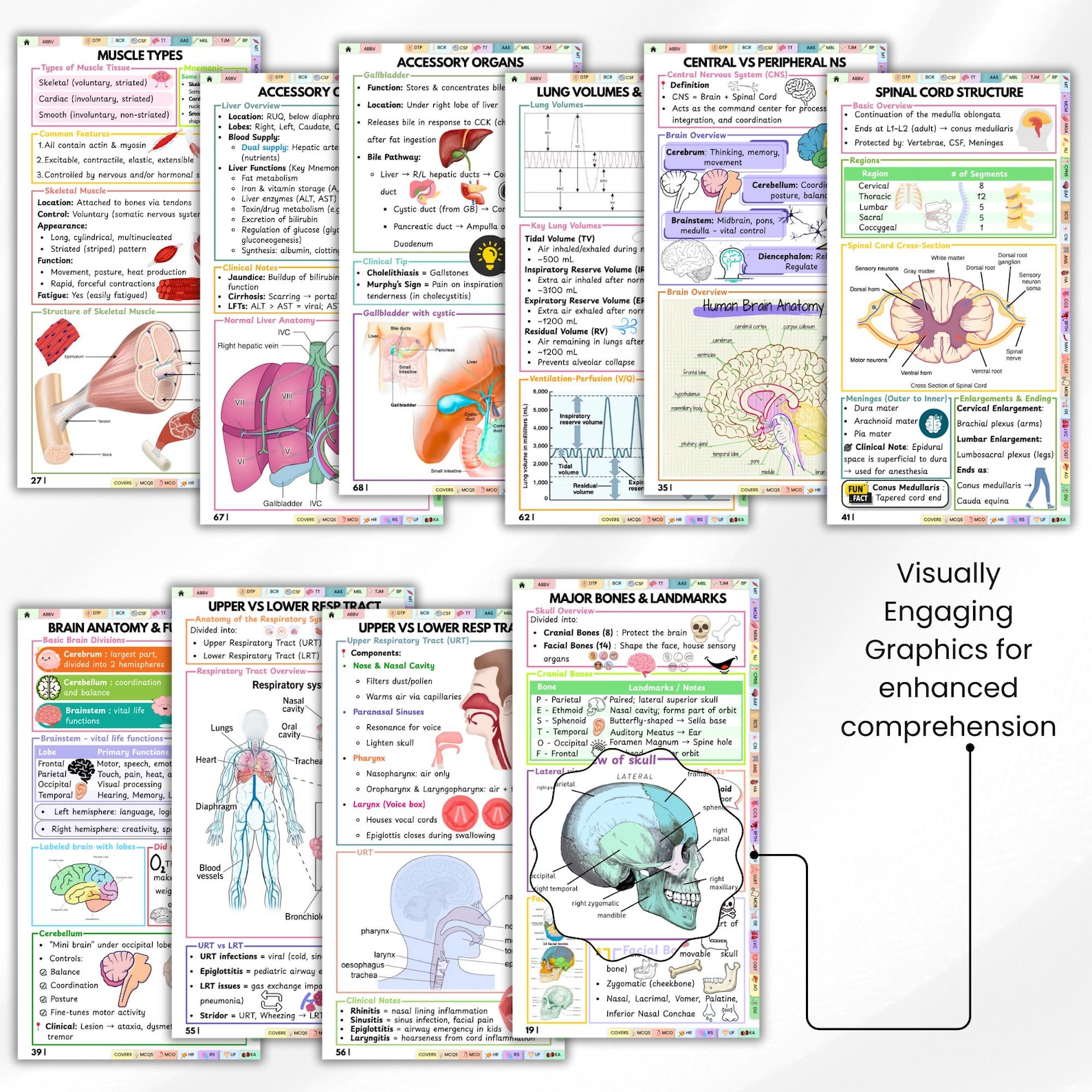 Medical Study Guide Anatomy and Physiology Pocket Guide, Medical Study Guide, Nursing ...