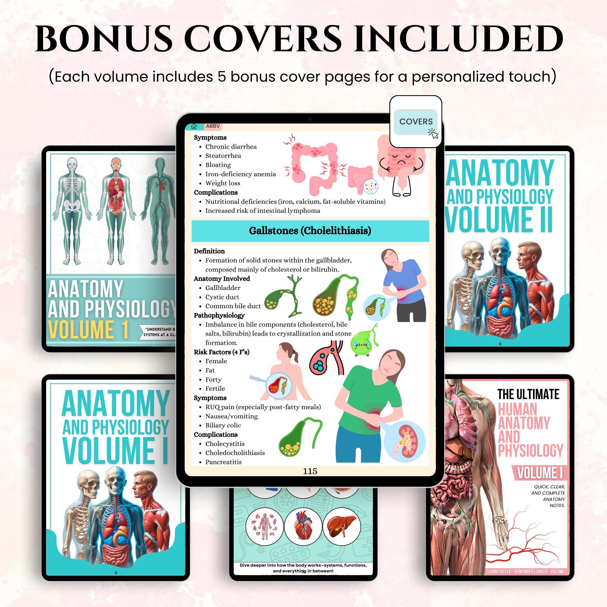 Anatomy & Physiology Mega Bundle With Flashcards Stickers Quizzes and ...