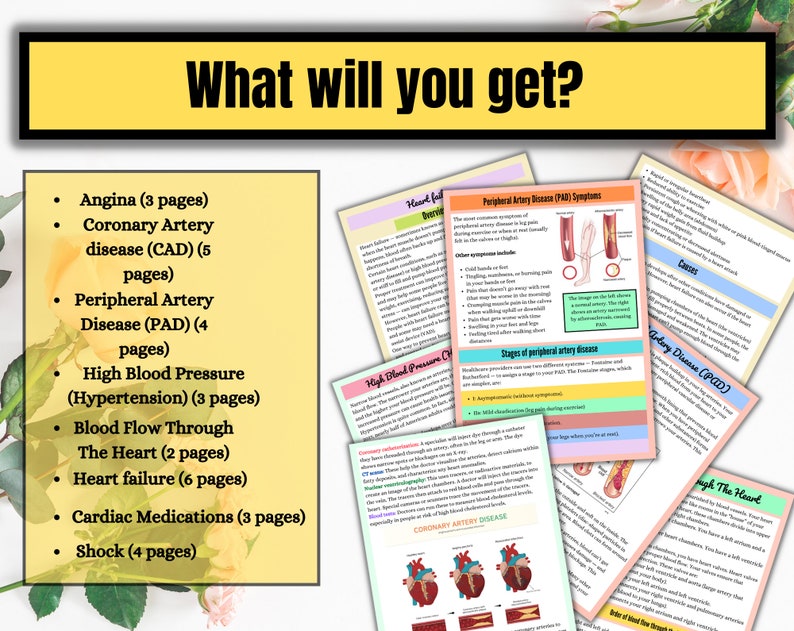 May include: A colorful infographic about heart health, with titles like "Angina", "Coronary Artery Disease", "Peripheral Artery Disease", "High Blood Pressure", "Blood Flow Through The Heart", "Heart Failure", "Cardiac Medications", and "Shock". The infographic includes illustrations of the heart and blood vessels.