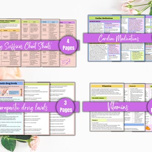 K&ouml;nnte beinhalten: Vier farbige, druckbare Spickzettel mit rosa und violetten Akzenten. Die Spickzettel behandeln Medikamenten-Suffixe, therapeutische Medikamentenspiegel, Herzmedikamente und Vitamine. Jedes Blatt hat einen Titel und eine angegebene Anzahl von Seiten.