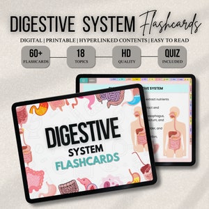 Ensemble de cartes mémoire ou quiz sur le système digestif avec lien hypertexte | Flashcards sur le corps humain | Guide d'étude en soins infirmiers | Téléchargement instantané | Prise de notes