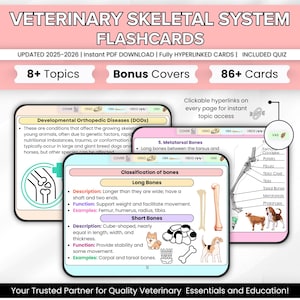 Carte mémoire du système squelettique vétérinaire, plus de 8 sujets, 5 pages de couverture supplémentaires, lien hypertexte complet, carte de squelette d'animal, étude du système squelettique vétérinaire