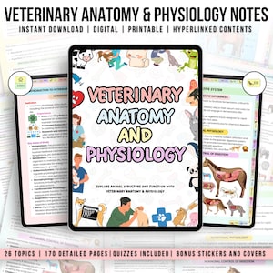 168+ Veterinary Anatomy & Physiology Bundle with Hyperlinked, Anatomy Study Guide, Vet Nursing, Medical Notes, Veterinary Technician Study