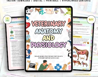 168+ Veterinary Anatomy & Physiology Bundle with Hyperlinked, Anatomy Study Guide, Vet Nursing, Medical Notes, Veterinary Technician Study
