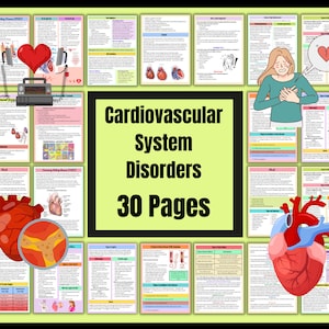 Cardiovascular System | Anatomy Notes | Instant Download | Cardiac Nurse Notes | Nursing Study Notes | 30 Pages of Bundle | PDF Download