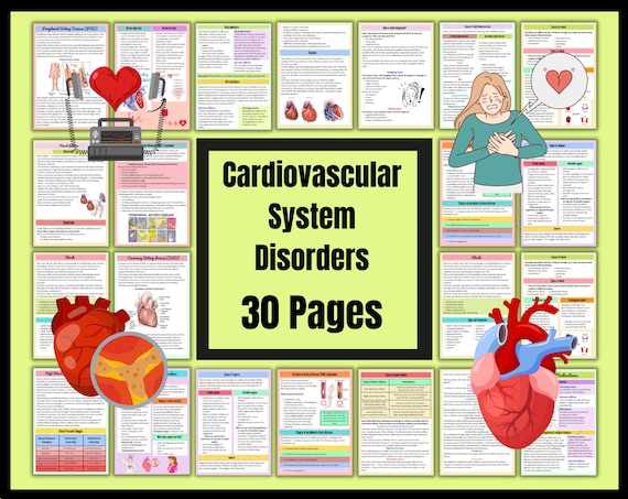Cardiovascular System | Anatomy Notes | Instant Download | Cardiac Nurse Notes | Nursing Study Notes | 30 Pages of Bundle | PDF Download