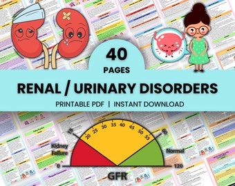 Urinary Disorder | Renal System Study Guide | Nursing Notes | Digital Download | Med Surg | PDF