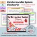 Cardiovascular System Flashcards Hyperlinked PDF | Nursing School ...