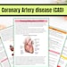 Cardiovascular System | Anatomy Notes | Instant Download | Cardiac ...