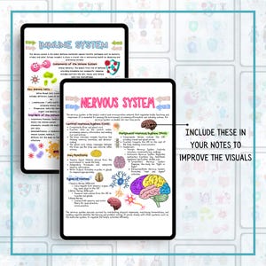 May include: Two colorful handwritten pages with illustrations of the human immune and nervous systems. The immune system page features a red shield with a white star and a cartoon germ. The nervous system page features a colorful brain with a blue, pink, and green color scheme.