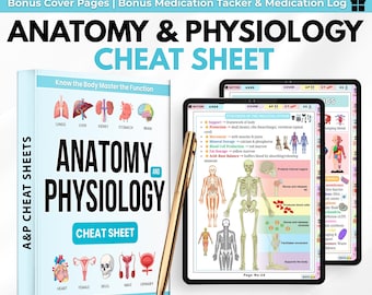 Anatomy & Physiology Cheat Sheet | Anatomy and Physiology Study Guide | Nursing School Notes | Anatomy Revision | Instant Download PDF