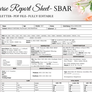 Nurse Sheet Report | Report sheet SBAR | Instant Download | Study Guide | Nurse Reporting | Printable Sheet