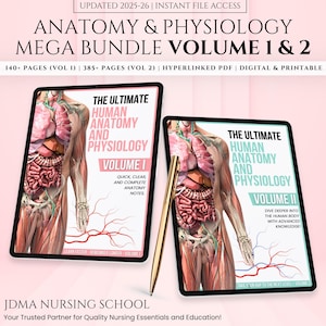 Anatomy & Physiology Mega Bundle with Flashcards Stickers Quizzes and Study Case, Anatomy Study Guide, Nursing School Notes, Medical Notes