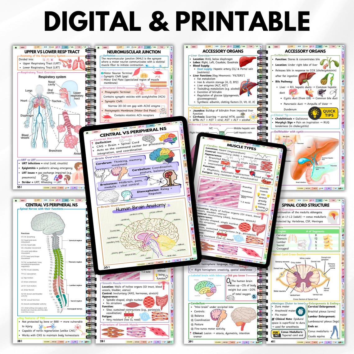 Medical Study Guide Anatomy and Physiology Pocket Guide, Medical Study Guide, Nursing ...