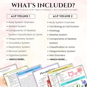 May include: A bundle of anatomy and physiology study guides. The image shows a list of topics included in Volume 1 and Volume 2, such as the skeletal system, circulatory system, and skin disorders. Colorful study sheets are visible at the bottom of the image.
