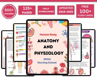 Anatomy & Physiology Bundle with Flashcards and Stickers | Anatomy Study Guide | Nursing School Notes | Medical Notes | Instant Download PDF