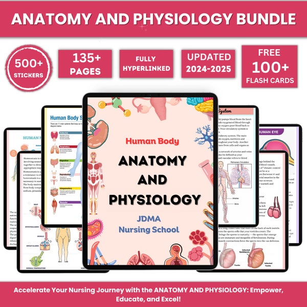 Anatomie- en fysiologiebundel met flashcards en stickers | Anatomiestudiegids | Aantekeningen voor verpleegscholen | Medische notities | Direct PDF downloaden