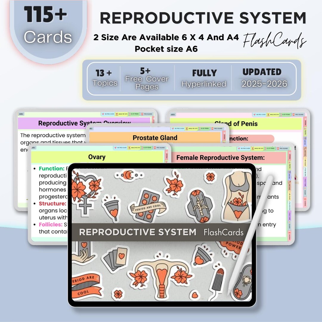 Reproductive System Flashcards Fully Hyperlinked | Human Anatomy | Free ...