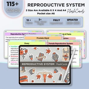 Flashcards sur l&#39;appareil reproducteur avec liens hypertexte | Anatomie humaine | Pages de couverture gratuites | Femelle reproductrice | Téléchargement instantané | Notes d&#39;allaitement