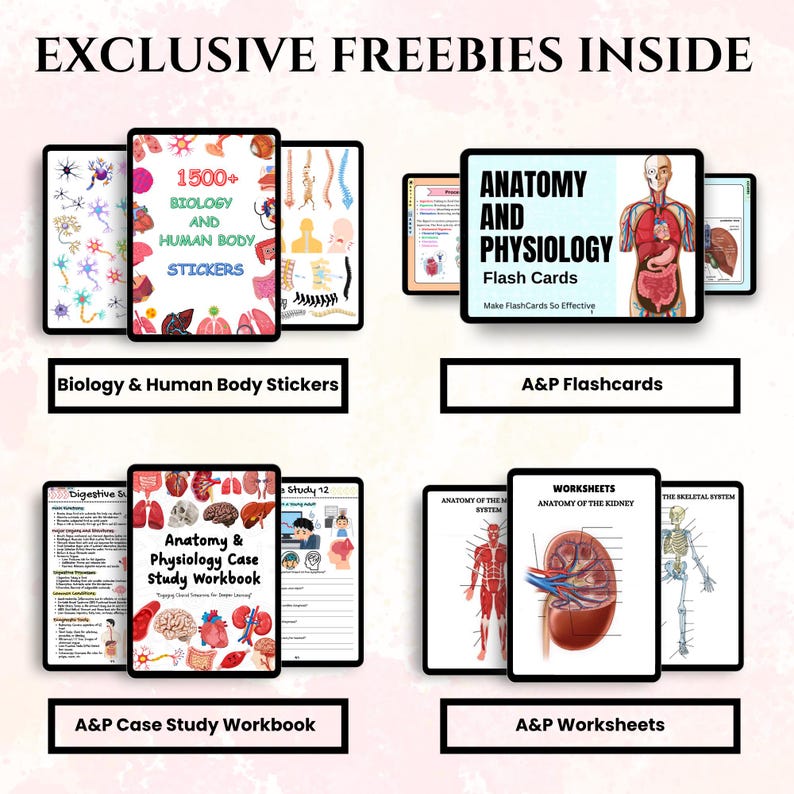 May include: An image showcasing digital study aids, including stickers, flashcards, and workbooks. The products cover biology and human anatomy, with titles like "Biology & Human Body Stickers" and "Anatomy & Physiology Flash Cards." The phrase "EXCLUSIVE FREEBIES INSIDE" is at the top.