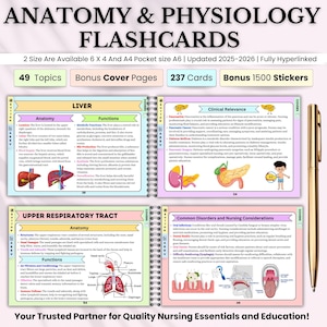 Könnte beinhalten: Anatomie- und Physiologie-Karteikarten mit 49 Themen, 237 Karten und 1500 Aufklebern. Die Karteikarten behandeln Themen wie Leber, obere Atemwege und klinische Relevanz. Ein goldener Stift liegt auf der rechten Seite des offenen Buches.