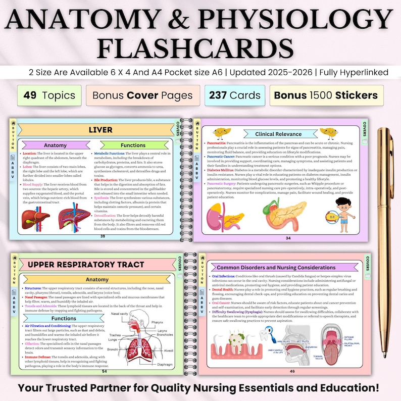 anatomy-physiology-flashcards-49-topics-or-235-pages-with-free-cover