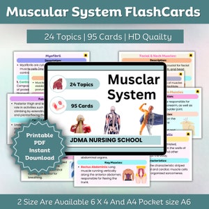 Flashcard sur le système musculaire avec hyperlien | Forfait soins infirmiers | Note médicale | Remarque sur l'anatomie musculaire | Note d'étude | Téléchargement numérique | 24 Sujet