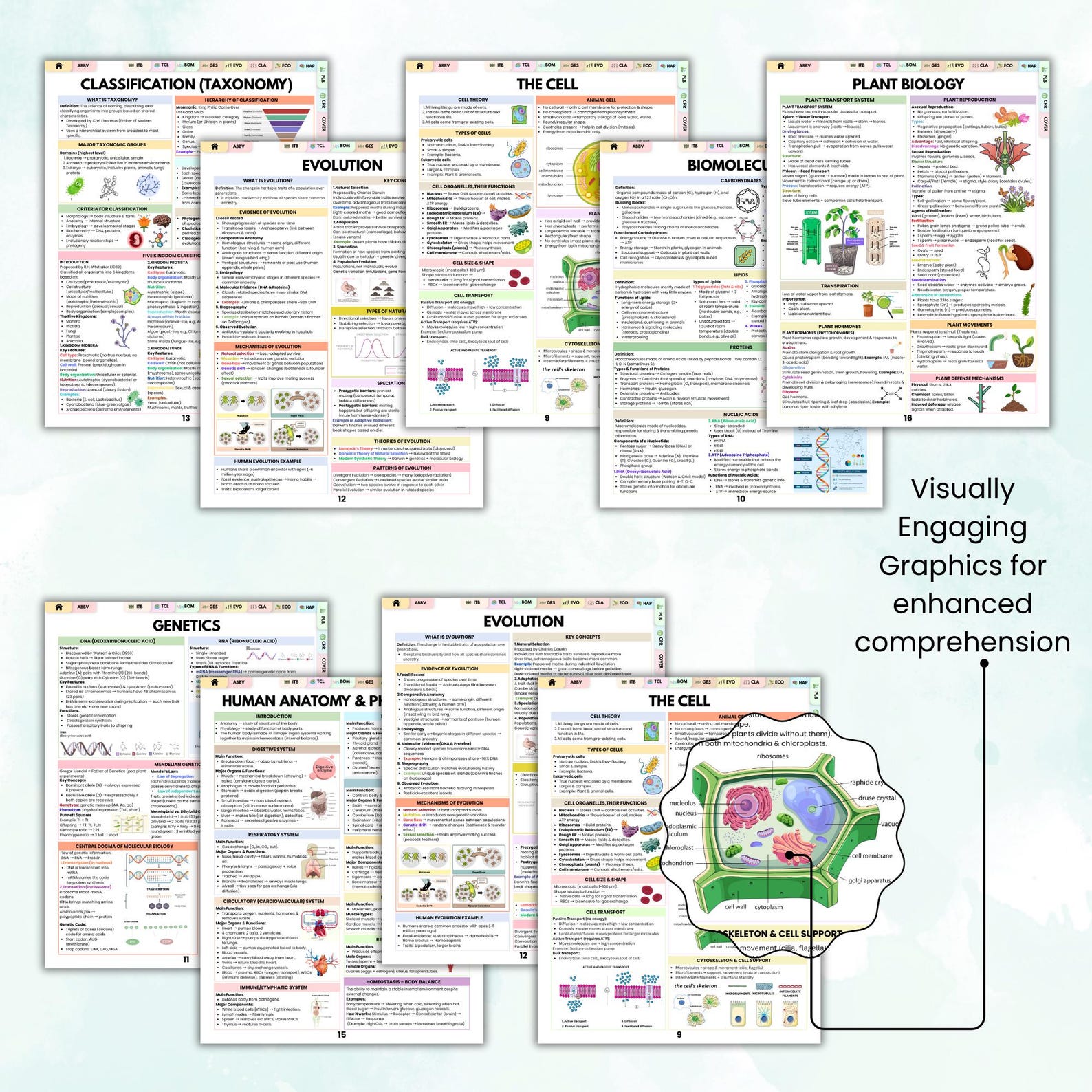 Biology Quick Study Reference Guide, Study Aid for Students, Science ...