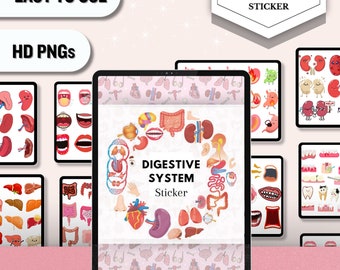 Digestive System Sticker | Human Body Stickers | Nursing Stickers | Goodnotes stickers | Instant Download | PNG Files | Note Taking