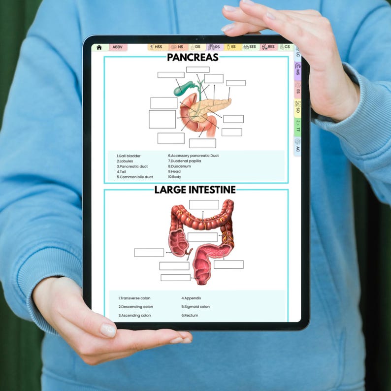 Anatomy Labeling Workbook | Human Body Systems Printable | Nursing ...