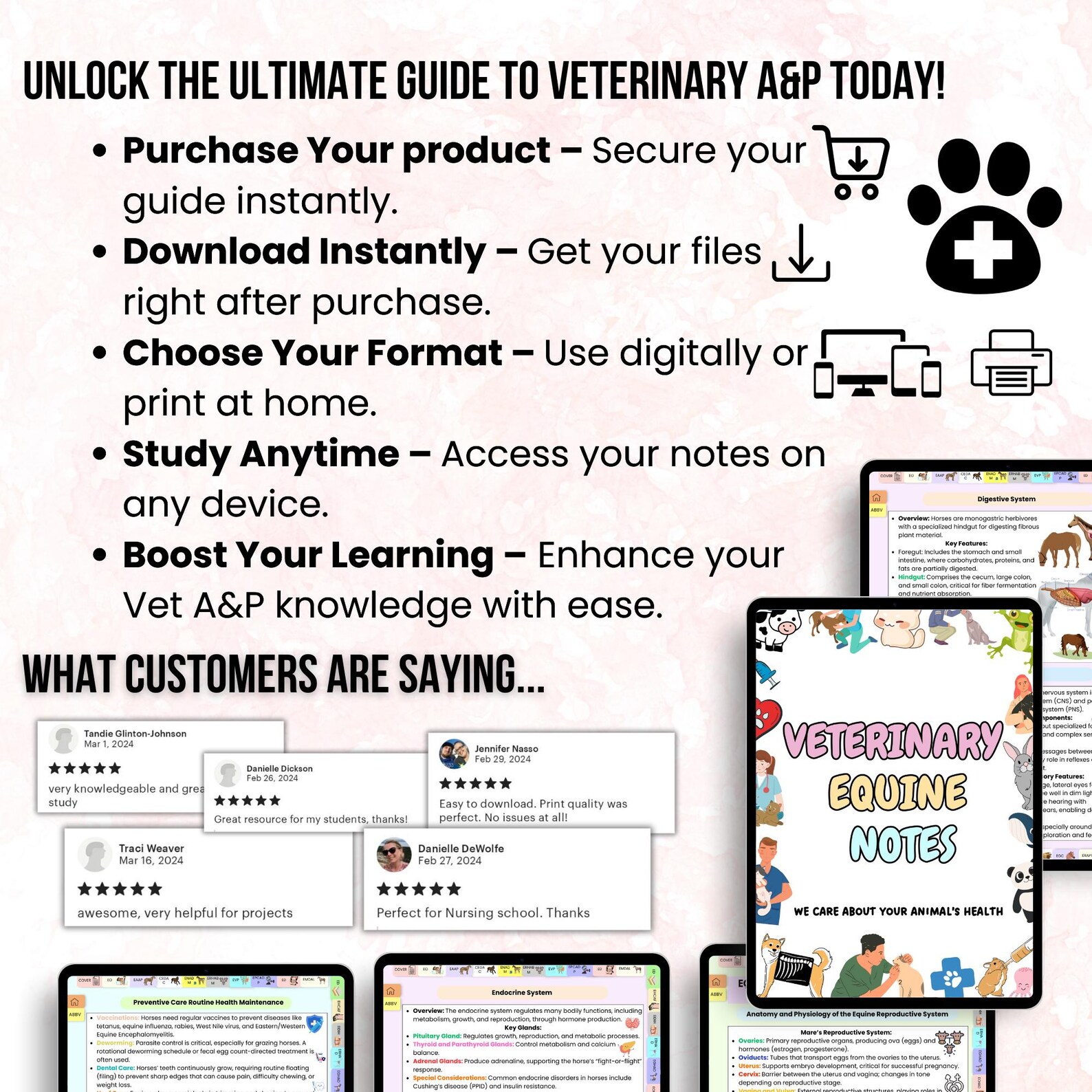 Equine Veterinary Notes Bundle Hyperlinked, Equine Medicine Notes ...
