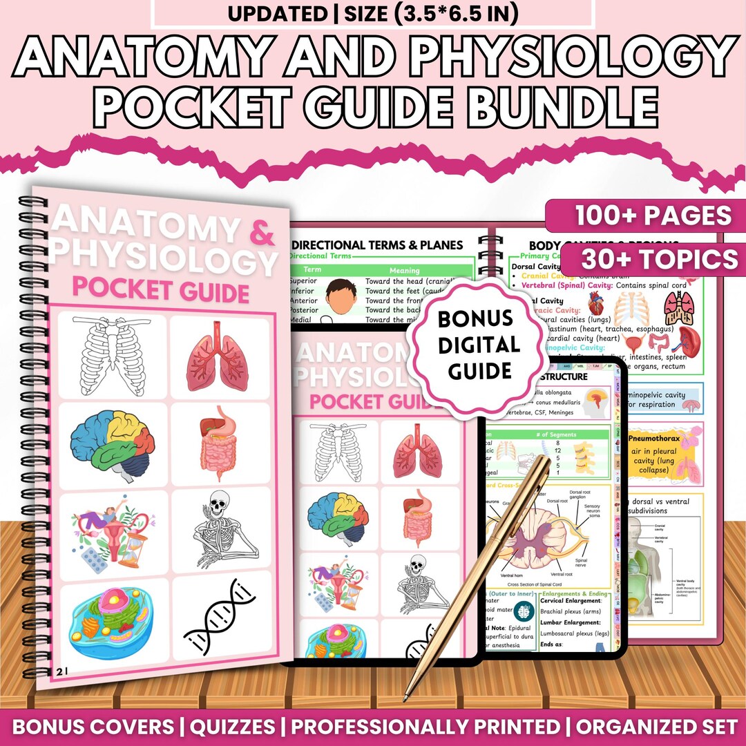 Anatomy Physiology Pocket Guide Physical Book | A&amp;P Quick Reference for Nursing Healthcare ...