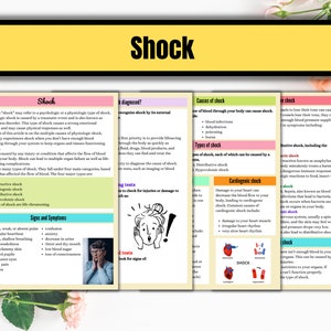 Cardiovascular System Anatomy Notes Instant Download Cardiac Nurse ...