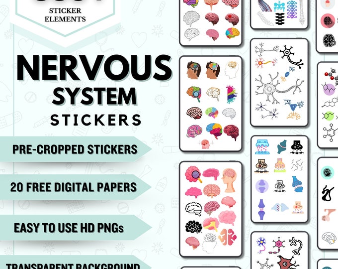 Edible Neuron Sticker Labeled Neuron Diagram | Sticker | Hand-drawn | Anatomy Sticker ...