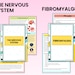 Neurological System | Neuro Bundle Notes | Med Surg Notes | Pritnable ...