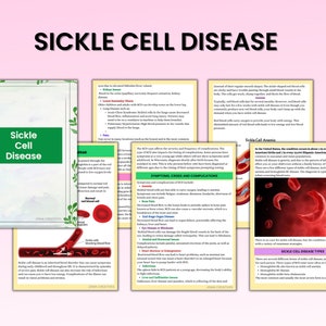 Hematology Disorders | Nursing Notes | 35 Pages Bundle | Nursing Study ...