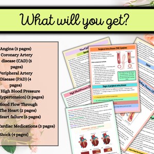 Cardiovascular System | Anatomy Notes | Instant Download | Cardiac ...