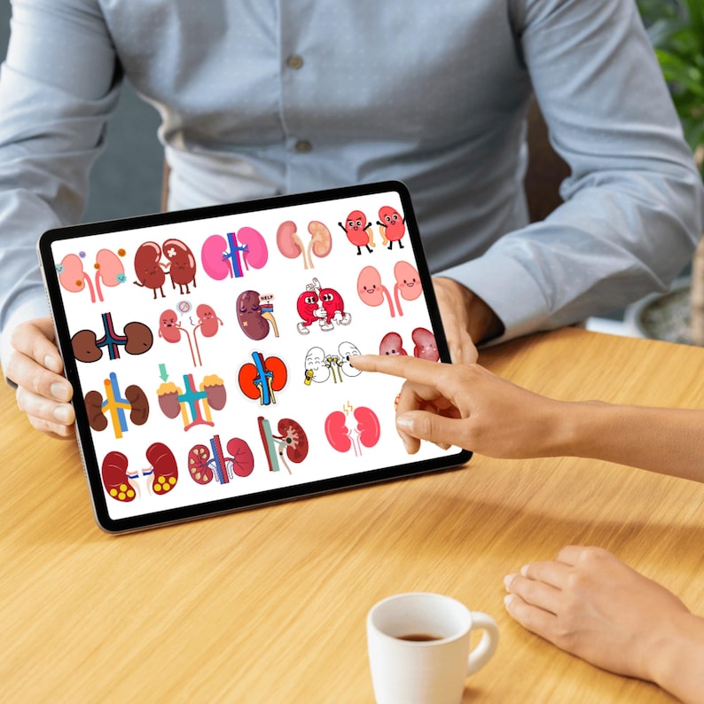 May include: A colorful digital illustration of various kidney shapes and designs. The illustration includes healthy kidneys, kidneys with different diseases, and cartoon kidneys with smiling faces. The illustration is displayed on a tablet computer.