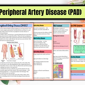 Cardiovascular System | Anatomy Notes | Instant Download | Cardiac ...