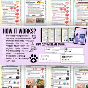 150+ Veterinary Radiology & Imaging Notes Hyperlinked, Radiology Study ...