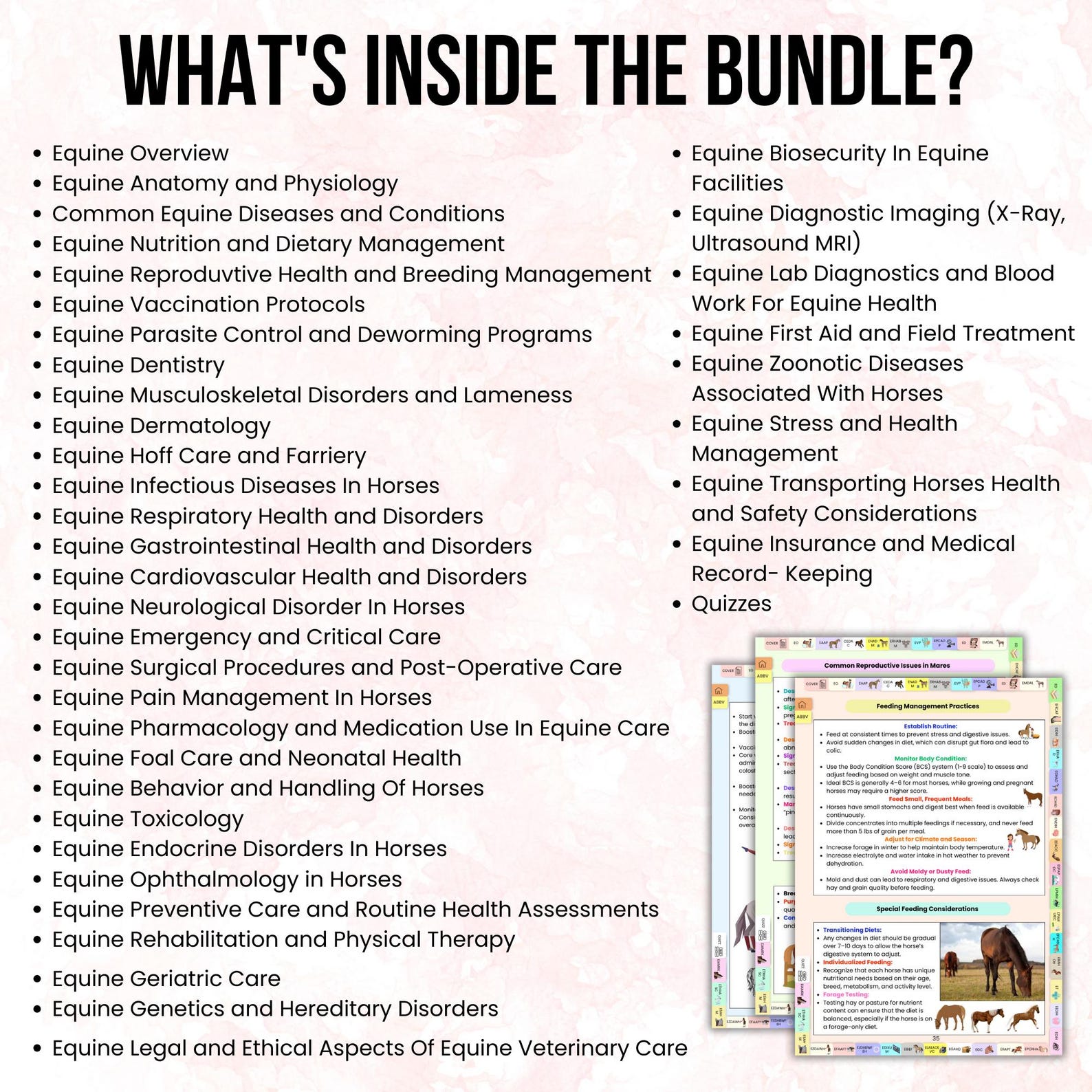 Equine Veterinary Notes Bundle Hyperlinked, Equine Medicine Notes ...