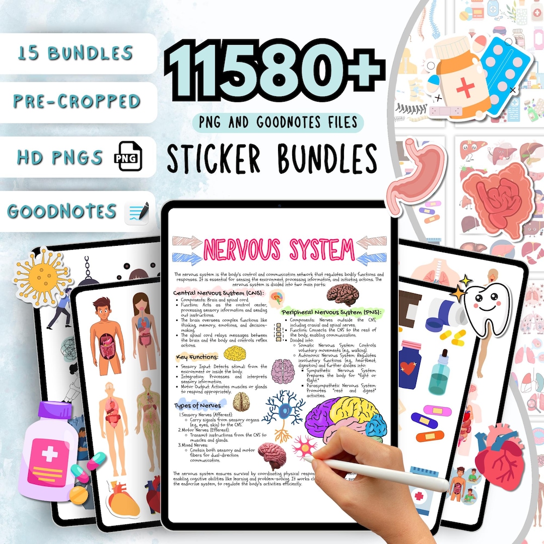 11580+ Medical Stickers Mega Bundle | Goodnotes Stickers | Nurse Stickers | Human Body Sti
