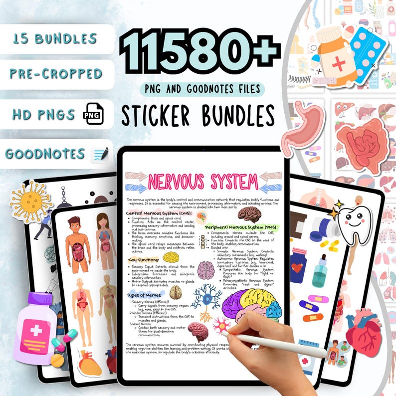 May include: A set of 15 sticker bundles for Goodnotes and PNG files featuring illustrations of the human nervous system. The image shows a colorful diagram of the nervous system with labels for the central nervous system (CNS) and the peripheral nervous system (PNS).