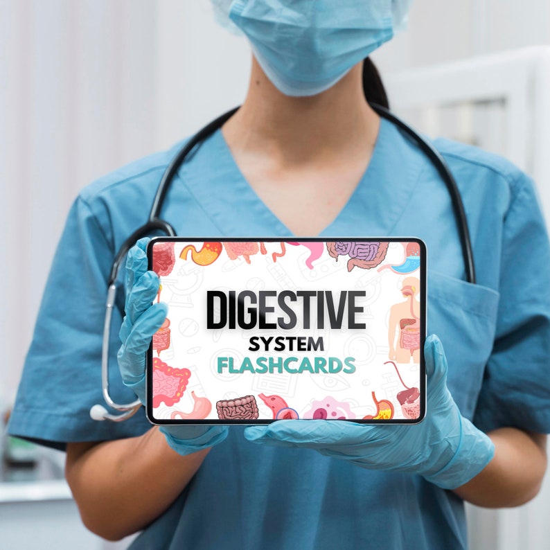 Digestive System Flashcards Bundle or Quiz With Hyperlinked | Human ...