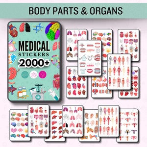 Medical Stickers 2000transparent back Ground Pre-cropped Healthcare Sticker Human Body Sticker HD PGN file Free Digital Paper image 4