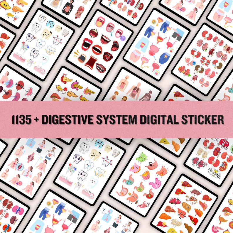 Digestive System Sticker | Human Body Stickers | Nursing Stickers ...