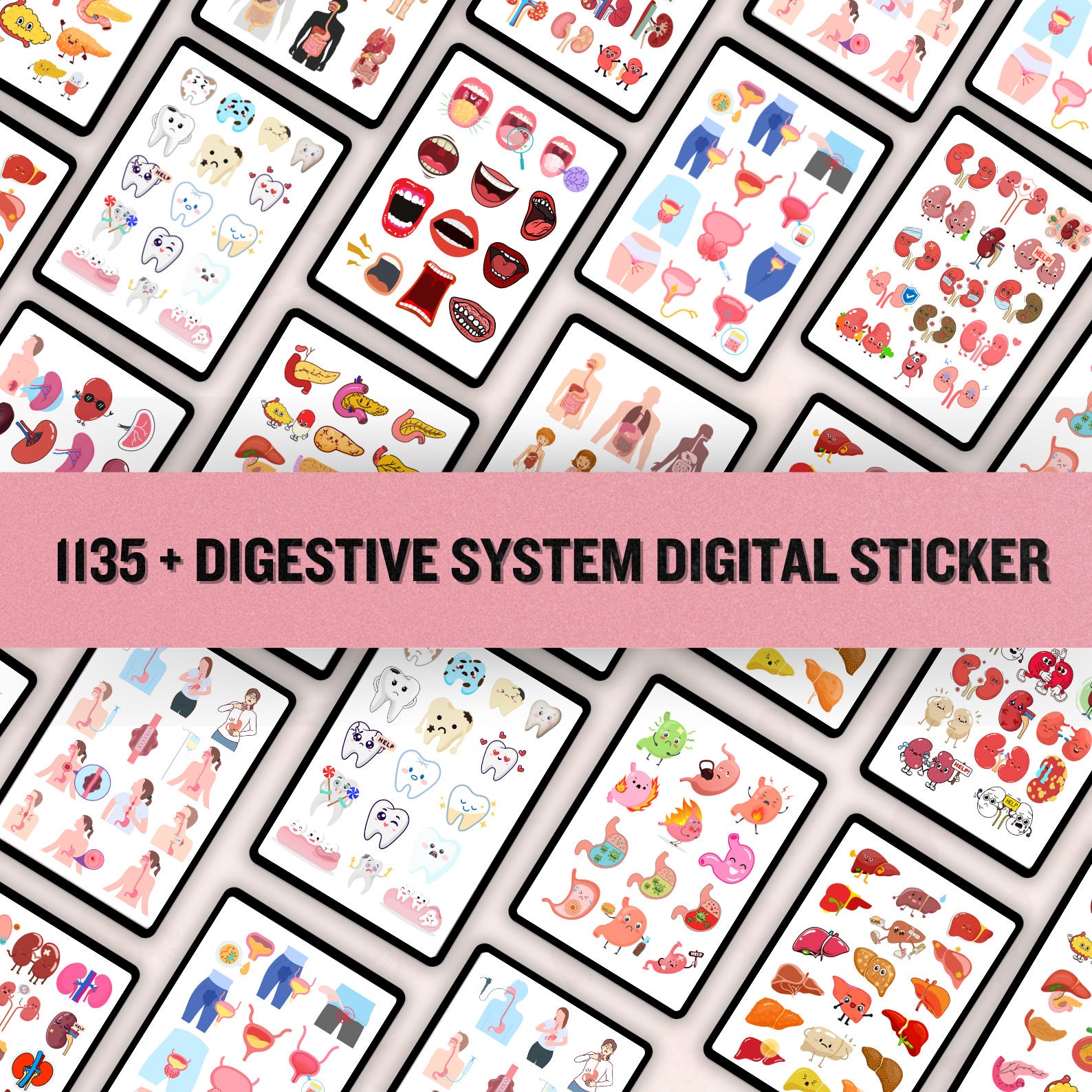 Digestive System Sticker | Human Body Stickers | Nursing Stickers ...